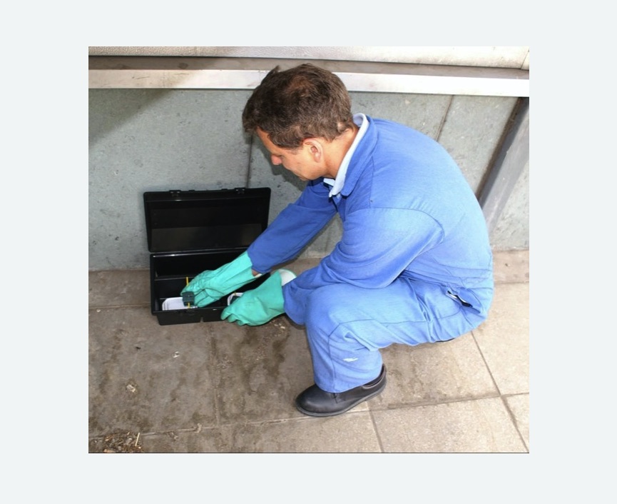 Дератизация помещения в Лениногорске Дератизация помещения