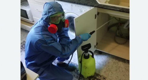 Уничтожение муравьев в квартире. Лениногорск