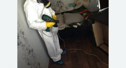 Обработка квартир от насекомых в Лениногорске