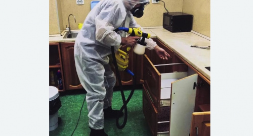 Дезинсекция квартиры. Лениногорск