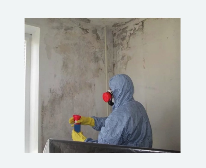 Удаление плесени в квартире в Лениногорске