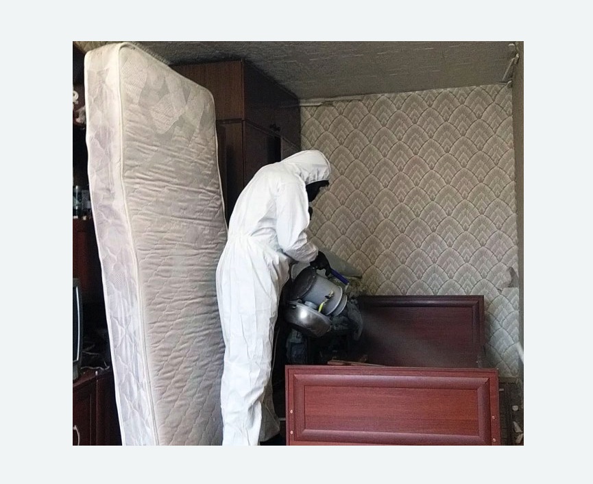 дезинфекция от клопов в Лениногорске