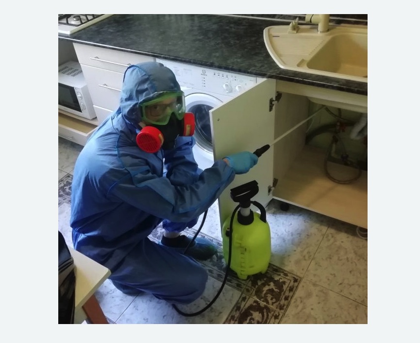 обработка от муравьев в квартире в Лениногорске