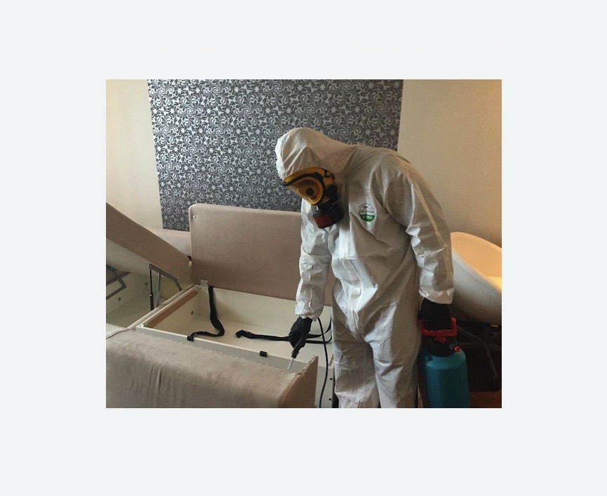 уничтожение клопов в квартире в Лениногорске