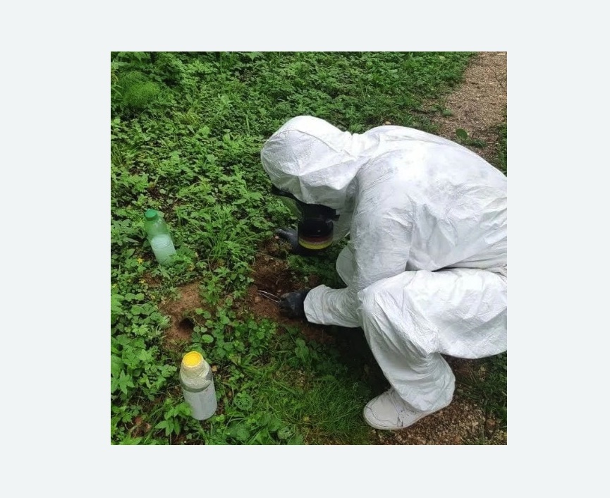 уничтожение кротов на участке в Лениногорске