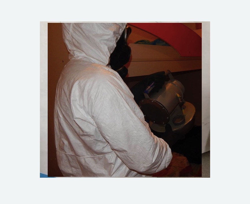 Дезинфекция от муравьев в Лениногорске