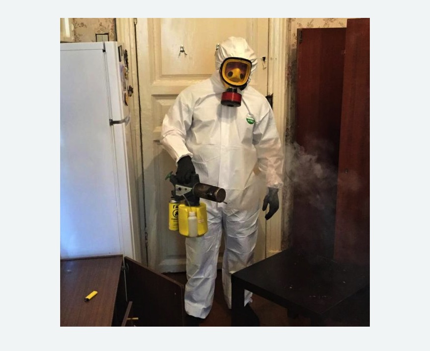 уничтожение муравьев в квартире в Лениногорске